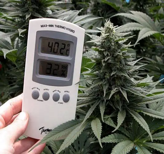 Your Grow Room S Temperature