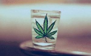 liquid marijuana drink pinterest