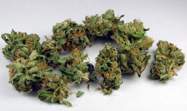 Ace of Spades Marijuana Strain