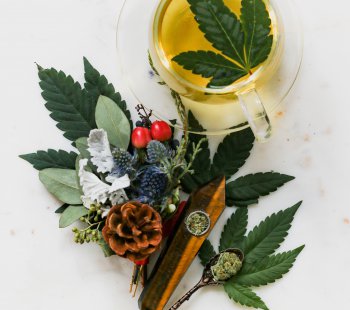 Cannabis Thirst Quenchers