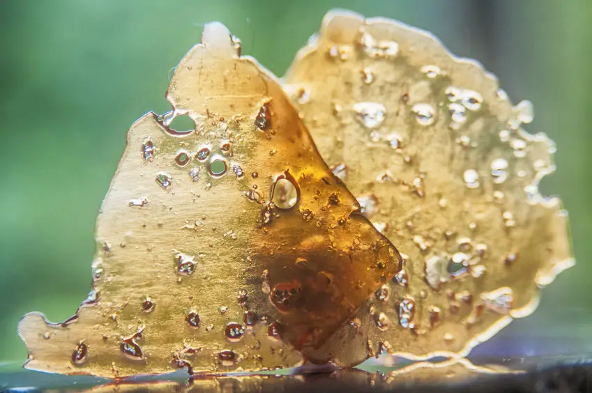 weed shatter